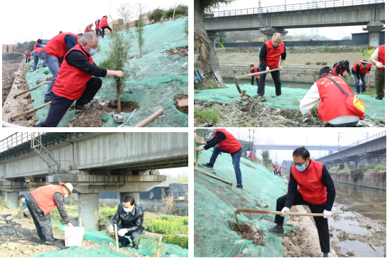 【中心動(dòng)態(tài)】履行植樹(shù)義務(wù) 共建美麗園區(qū)  